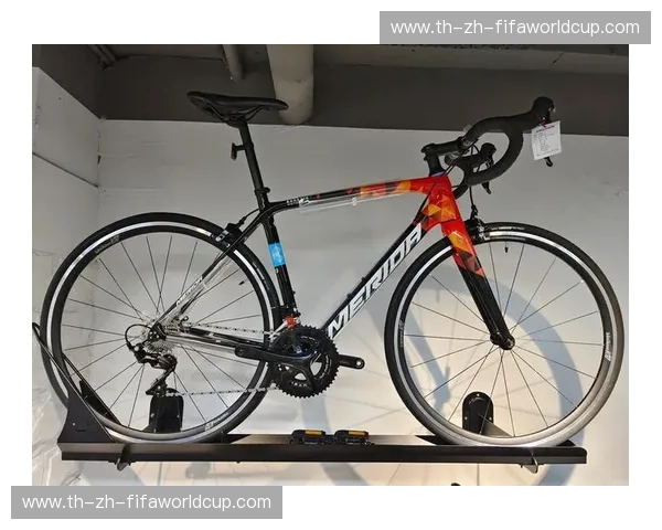 公路自行车资讯：速度与生活的完美融合